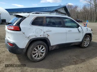 2016 Jeep Cherokee Limited with VIN 1C4PJMDS5GW188410, listed as a Copart auction lot 53299065 with 89,510 mi miles and Salvage Title. Bid and sale history available at DreamBid. Image 3.