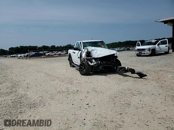 2014 Ram 1500 Tradesman with VIN 1C6RR6FG2ES337986, listed as a Copart auction lot 60424685 with Not provided miles and Salvage title. Bid and sale history available at DreamBid. Image 12.