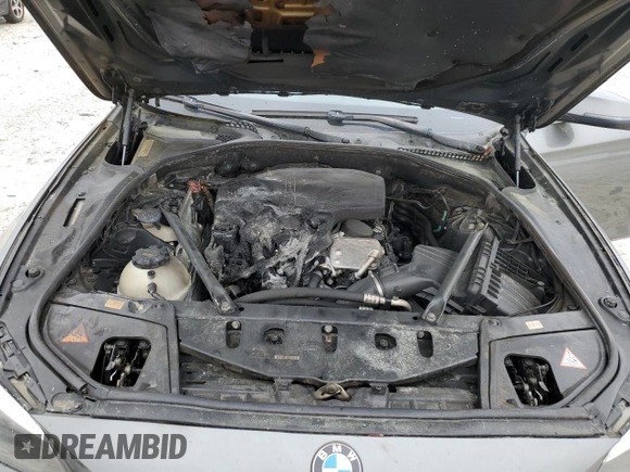 2014 BMW 5 Series 528i with VIN WBA5A5C59ED510285, listed as a Copart auction lot 50798995 with 127,226 mi miles and Salvage Title. Bid and sale history available at carsss.com. Image 11.