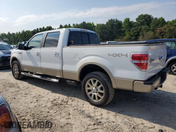 2009 Ford F-150 XL with VIN 1FTPW14V99KB33415, listed as a Copart auction lot 60546565 with 96,602 mi miles and Salvage title. Bid and sale history available at DreamBid. Image 2.