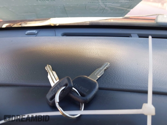 2001 Isuzu Rodeo S with VIN 4S2CK58W814326849, listed as a IAAI auction lot 41769624 with 366,460 mi miles and . Bid and sale history available at DreamBid. Image 11.