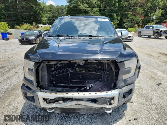 2016 Ford F-150 XLT with VIN 1FTEW1EF9GFB49621, listed as a Copart auction lot 61810865 with 258,610 mi miles and Salvage title. Bid and sale history available at DreamBid. Image 5.