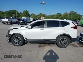2020 Honda CR-V EX with VIN 7FART6H53LE005902, listed as a IAAI auction lot 41951308 with 50,498 mi miles and . Bid and sale history available at DreamBid. Image 15.