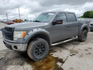 2009 Ford F-150 XL z VIN 1FTPW14V59FA65915, wystawiony jako Copart lot #55118185 z przebiegiem 195 281 mil mil oraz Szkoda całkowita • Salvage title. Historia ofert i sprzedaży dostępna na DreamBid. Obrazek 1.