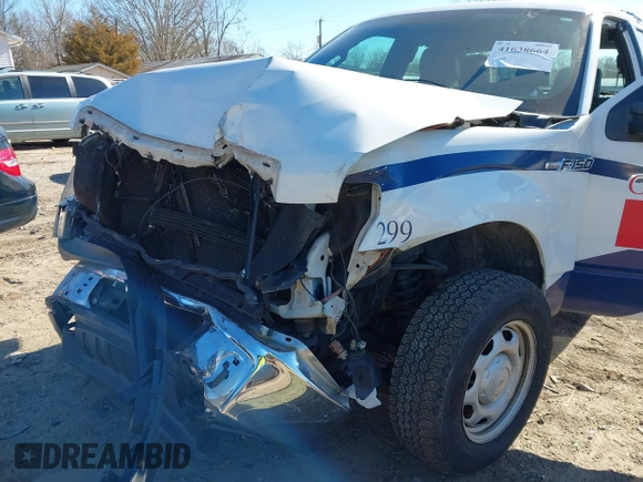 2011 Ford F-150 XL with VIN 1FTEX1EM1BFC07130, listed as a IAAI auction lot 41638664 with 133,891 mi miles. Bid and sale history available at carsss.com. Image 6.