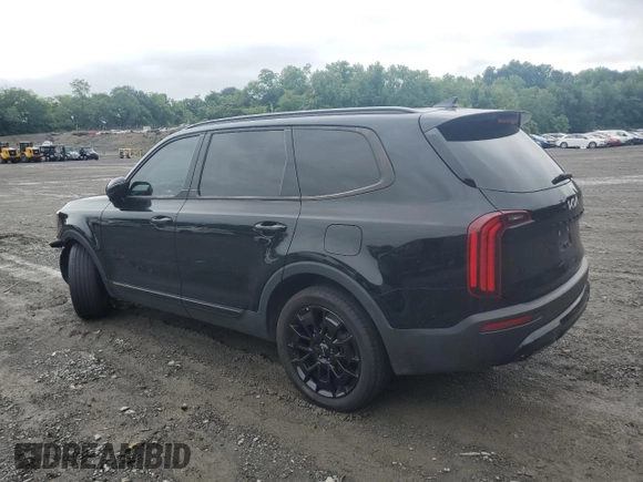 2022 Kia Telluride EX with VIN 5XYP3DHC5NG207139, listed as a Copart auction lot 60104755 with 101,632 mi miles and Salvage title. Bid and sale history available at DreamBid. Image 2.