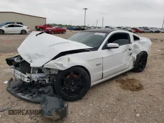 2014 Ford Mustang GT with VIN 1ZVBP8CF5E5332381, listed as a Copart auction lot 55021215 with 140,692 mi miles and Salvage title. Bid and sale history available at DreamBid. Image 1.