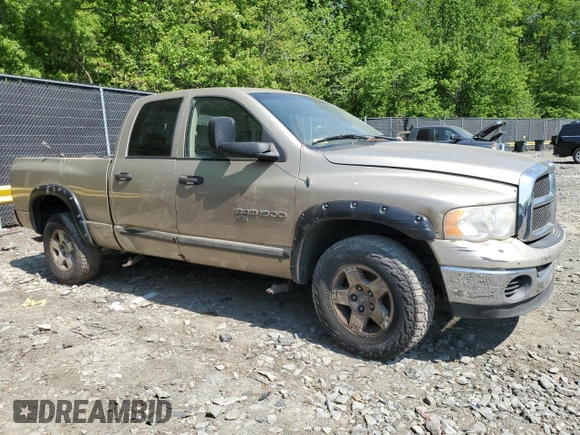 2005 Dodge 1500 SLT with VIN 1D7HU18D65J614921, listed as a Copart auction lot 51922855 with Not Provided miles and Salvage Title. Bid and sale history available at DreamBid. Image 4.