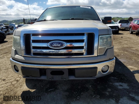 2010 Ford F-150 XL with VIN 1FTEW1C87AKA25821, listed as a Copart auction lot 49008285 with Not Provided miles and Salvage Title. Bid and sale history available at carsss.com. Image 5.