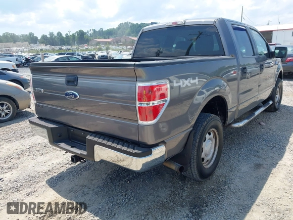 2010 Ford F-150 XL with VIN 1FTEW1E87AFD69672, listed as a IAAI auction lot 42590920 with 117,126 mi miles and . Bid and sale history available at DreamBid. Image 4.