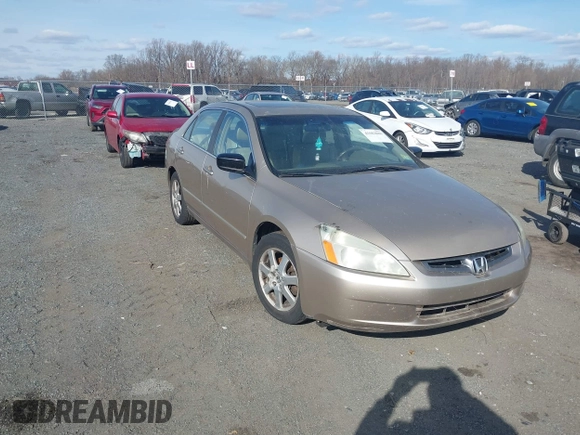 2005 Honda Accord EX-L z VIN 1HGCM665X5A034702, wystawiony jako IAAI lot #41683069 z przebiegiem 232 931 mil mil oraz . Historia ofert i sprzedaży dostępna na DreamBid. Obrazek 1.