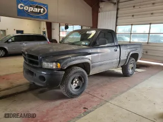 1999 Dodge Ram 1500 with VIN 1B7HF16Y4XS146923, listed as a Copart auction lot 48548615 with 247,260 mi miles and Salvage Title. Bid and sale history available at carsss.com. Image 1.