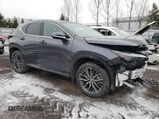 2022 Lexus NX with VIN 2T2GKCEZ5NC006791, listed as a Copart auction lot 41875783 with 2,436 mi miles. Bid and sale history available at carsss.com. Image 4.