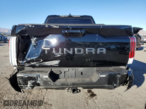 2023 Toyota Tundra Platinum with VIN 5TFNA5DB3PX084778, listed as a Copart auction lot 87190314 with 19,051 mi miles and Salvage title. Bid and sale history available at DreamBid. Image 6.