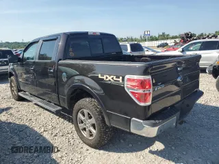 2013 Ford F-150 XL with VIN 1FTFW1ET8DKE61054, listed as a Copart auction lot 64204095 with 124,924 mi miles and Salvage title. Bid and sale history available at DreamBid. Image 2.
