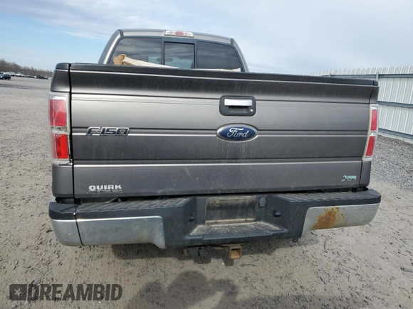 2010 Ford F-150 XL with VIN 1FTFX1EV0AFD15024, listed as a Copart auction lot 45851565 with 164,712 mi miles and Salvage Title. Bid and sale history available at DreamBid. Image 6.