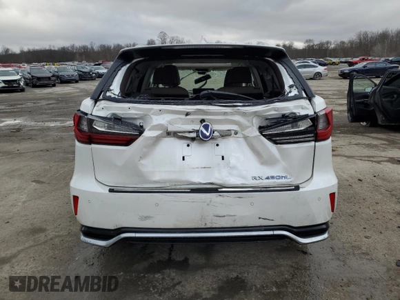 2019 Lexus RX with VIN JTJDGKCA5K2007608, listed as a Copart auction lot 43916085 with 0 mi miles and Salvage Title. Bid and sale history available at carsss.com. Image 6.