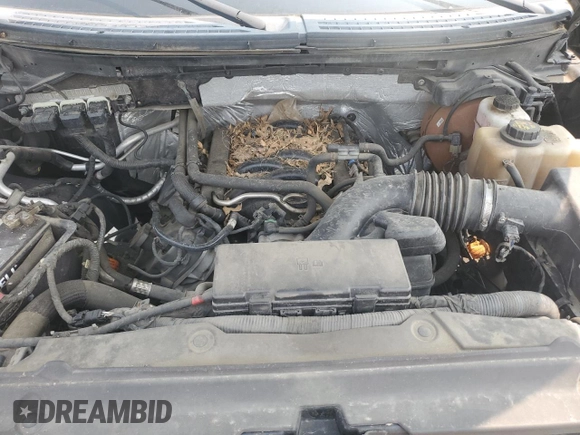 2013 Ford F-150 XL with VIN 1FTFW1EFXDKD59944, listed as a Copart auction lot 58673165 with 198,531 mi miles and Salvage title. Bid and sale history available at DreamBid. Image 11.