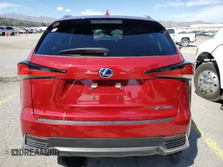 2020 Lexus NX with VIN JTJGJRDZ8L5000440, listed as a Copart auction lot 50742685 with 24,171 mi miles and Salvage Title. Bid and sale history available at carsss.com. Image 6.