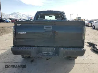 2009 Ford F-150 STX with VIN 1FTRX14W09FA24655, listed as a Copart auction lot 46085665 with Not Provided miles and Salvage Title. Bid and sale history available at DreamBid. Image 6.