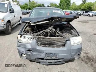 2006 Ford Escape XLT z VIN 1FMCU03146KB47131, wystawiony jako Copart lot #56731215 z przebiegiem 230 520 mil mil oraz Szkoda całkowita • Salvage title. Historia ofert i sprzedaży dostępna na DreamBid. Obrazek 5.