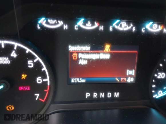 2021 Ford F-150 XL с VIN 1FTEW1EP8MFC90832, выставлен на аукционе IAAI как лот 42052336 с пробегом 37 571 миль миль и . История ставок и продаж доступна на DreamBid. Изображение 7.
