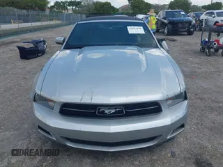 2010 Ford Mustang V6 with VIN 1ZVBP8EN3A5149995, listed as a IAAI auction lot 41941438 with 83,968 mi miles and . Bid and sale history available at DreamBid. Image 12.