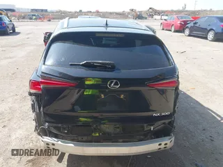 2019 Lexus NX 300 z VIN JTJYARBZ7K2157187, wystawiony jako IAAI lot #41914138 z przebiegiem 81 265 mil mil oraz . Historia ofert i sprzedaży dostępna na DreamBid. Obrazek 16.
