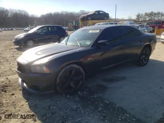 2014 Dodge Charger RT with VIN 2C3CDXCT4EH338430, listed as a Copart auction lot 45609045 with 0 mi miles and Clean Title. Bid and sale history available at carsss.com. Image 1.