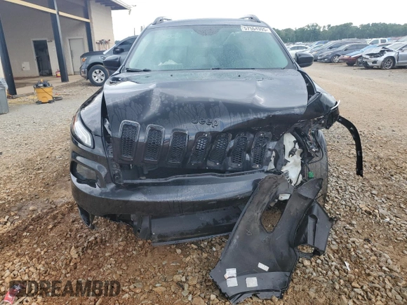 2016 Jeep Cherokee Sport z VIN 1C4PJLAB2GW329903, wystawiony jako Copart lot #57554995 z przebiegiem 224 964 mil mil oraz Szkoda całkowita • Salvage title. Historia ofert i sprzedaży dostępna na DreamBid. Obrazek 5.