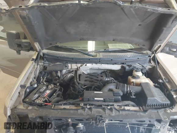 2011 Ford F-150 XL with VIN 1FTFX1EF2BFC35153, listed as a IAAI auction lot 42103402 with 202,140 mi miles and . Bid and sale history available at DreamBid. Image 10.