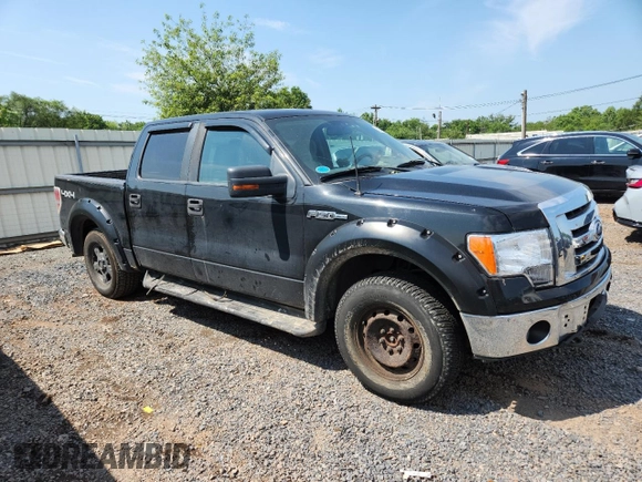 2010 Ford F-150 XL with VIN 1FTFW1EV9AFA81260, listed as a Copart auction lot 63248525 with 141,029 mi miles and Clean title. Bid and sale history available at DreamBid. Image 4.
