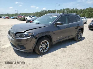 2020 Jeep Cherokee Lux with VIN 1C4PJLLXXLD510925, listed as a Copart auction lot 53616375 with 90,956 mi miles and Salvage title. Bid and sale history available at DreamBid. Image 1.