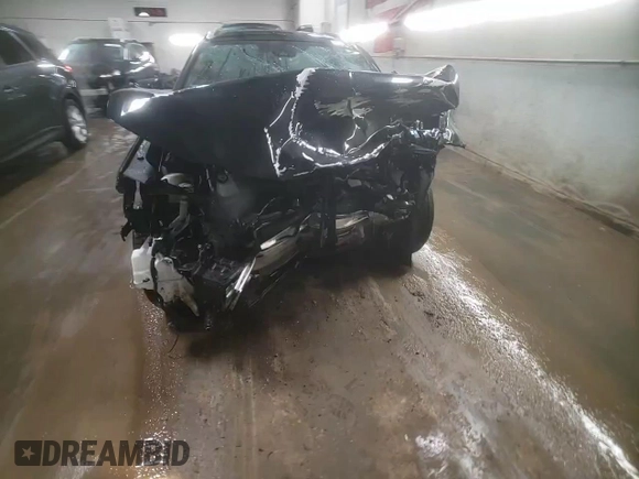 2019 Lexus UX 250h with VIN JTHU9JBH9K2009009, listed as a Copart auction lot 42381095 with Not provided miles and Salvage title. Bid and sale history available at DreamBid. Image 13.
