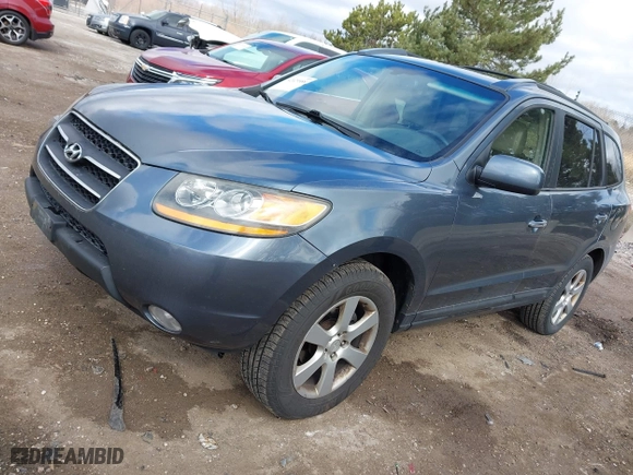 2009 Hyundai Santa Fe SE with VIN 5NMSH13E89H322655, listed as a IAAI auction lot 42029588 with 160,189 mi miles. Bid and sale history available at carsss.com. Image 2.