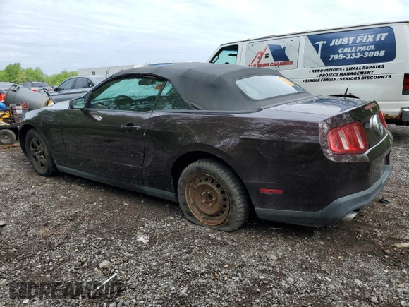 2011 Ford Mustang V6 with VIN 1ZVBP8EM8B5129301, listed as a Copart auction lot 56668885 with Not provided miles and Non repairable. Bid and sale history available at DreamBid. Image 2.