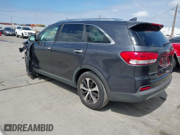 2017 Kia Sorento EX with VIN 5XYPH4A51HG318594, listed as a IAAI auction lot 41902724 with 113,498 mi miles and . Bid and sale history available at carsss.com. Image 3.