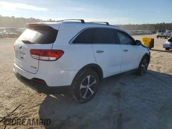2016 Kia Sorento EX with VIN 5XYPHDA16GG137051, listed as a Copart auction lot 45541995 with 0 mi miles and Salvage Title. Bid and sale history available at carsss.com. Image 3.