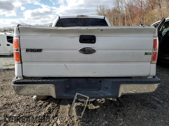 2010 Ford F-150 XL with VIN 1FTFX1CV2AFD12192, listed as a Copart auction lot 49967905 with 205,641 mi miles and Salvage Title. Bid and sale history available at DreamBid. Image 6.