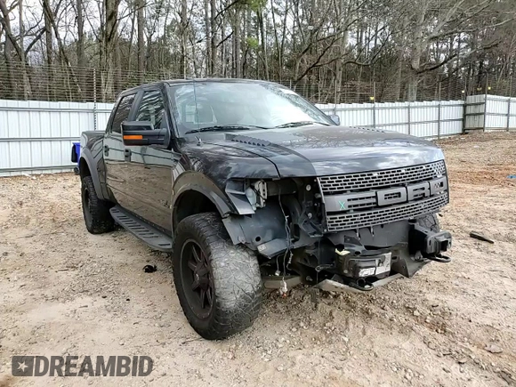 2014 Ford F-150 SVT Raptor with VIN 1FTFW1R64EFA49681, listed as a Copart auction lot 45182225 with 171,138 mi miles and Salvage Title. Bid and sale history available at carsss.com. Image 11.