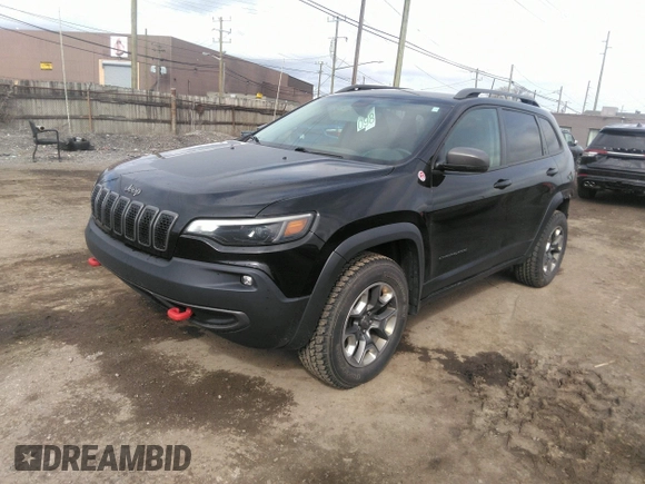 2019 Jeep Cherokee Trailhawk with VIN 1C4PJMBX1KD331128, listed as a IAAI auction lot 41983976 with 110,190 mi miles and . Bid and sale history available at DreamBid. Image 2.
