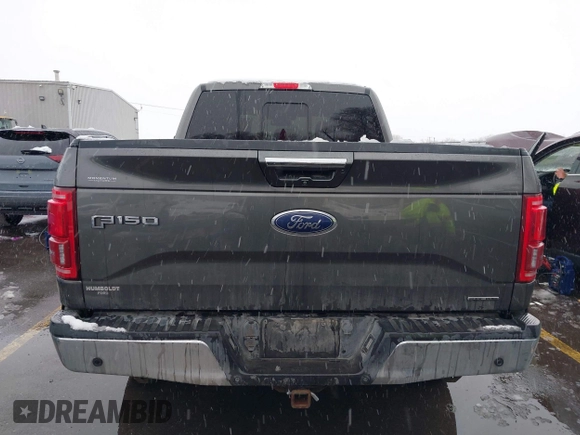 2016 Ford F-150 XLT with VIN 1FTFW1EF6GKF11741, listed as a IAAI auction lot 41631762 with 115,634 mi miles and . Bid and sale history available at DreamBid. Image 17.