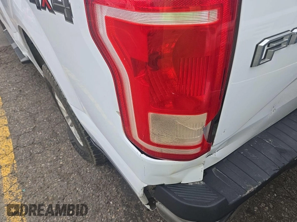 2017 Ford F-150 XL with VIN 1FTEX1EP1HKC73011, listed as a IAAI auction lot 42788915 with 196,143 mi miles and . Bid and sale history available at DreamBid. Image 3.