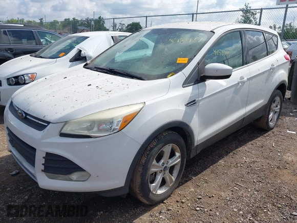 2013 Ford Escape SE with VIN 1FMCU9GX8DUA11623, listed as a IAAI auction lot 42453427 with 157,487 mi miles and . Bid and sale history available at DreamBid. Image 2.