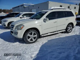 2009 Mercedes-Benz GL-Class 3.0L BlueTEC with VIN 4JGBF25E19A488045, listed as a Copart auction lot 46063375 with 242,880 mi miles and Clean Title. Bid and sale history available at carsss.com. Image 1.