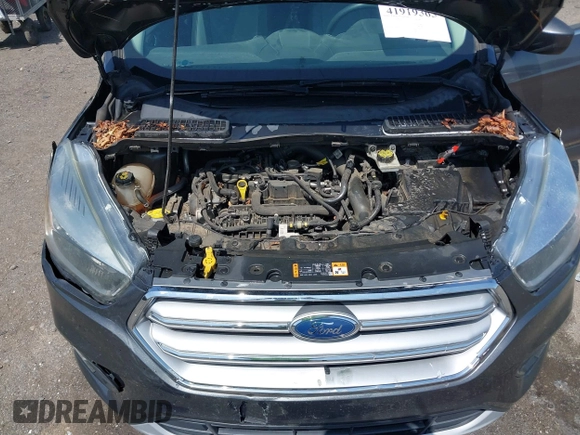 2017 Ford Escape SE with VIN 1FMCU0GD7HUB96092, listed as a IAAI auction lot 41919365 with 113,321 mi miles. Bid and sale history available at carsss.com. Image 10.