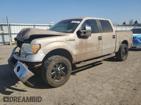 2010 Ford F-150 XL with VIN 1FTEW1C82AFD04120, listed as a Copart auction lot 48870955 with 209,719 mi miles and Salvage Title. Bid and sale history available at carsss.com. Image 1.