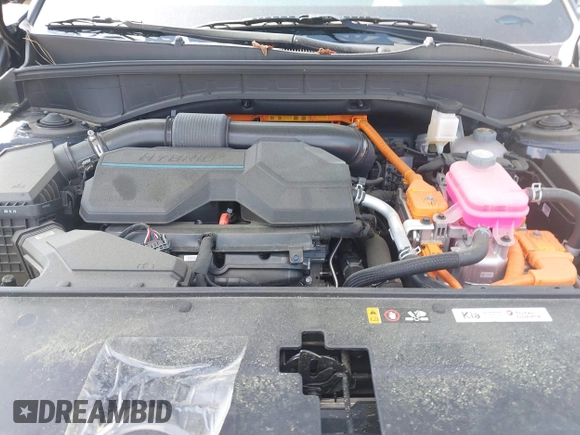 2024 Kia Sorento EX with VIN KNDRHDLG0R5248202, listed as a IAAI auction lot 41990342 with 17,552 mi miles and . Bid and sale history available at DreamBid. Image 10.