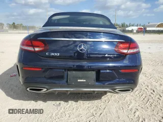 2020 Mercedes-Benz C 300 with VIN WDDWK8EB3LF935839, listed as a Copart auction lot 79631584 with 14,380 mi miles and Salvage title. Bid and sale history available at DreamBid. Image 6.
