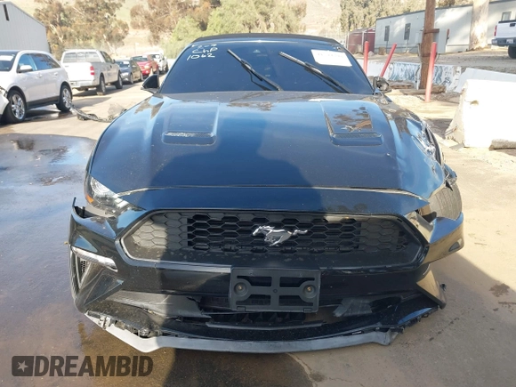 2022 Ford Mustang EcoBoost with VIN 1FATP8UH7N5131062, listed as a IAAI auction lot 41594398 with 30,982 mi miles and . Bid and sale history available at DreamBid. Image 12.